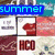 Animated sequence showing a brown bird silhouette flying across a white background, with blue text reading 'summer fun' at the top and 'hollister' in brown text below.