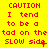 Red pixel text on a yellow background repeats 'CAUTION I tend to be a tad on the SLOW side' across multiple with slight variations in spacing and punctuation