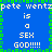 Blue background with green pixelated border, white text repeating 'pete wentz is a SEX GOD!!!!!' in two vertical