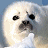 A pixelated image of a light-colored dog with dark eyes and nose, positioned next to a brown outline of a bear head above the text "Timothy Treadwell" in matching brown lettering.