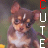 A small brown dog with white chest and face markings appears in four , each showing a different vertical text sequence on the right side
