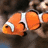 A pixelated clownfish image with blue text reading 'Sure there are plenty of FISH in the Sea......' and 'But he'll Always be my NEMO'
