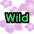 Pixelated text 'Wild', 'Crazy', and 'Fun' in green, cyan, and pink respectively on a white background with purple floral patterns.