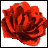 A 4x4 contact sheet of animated frames showing a red rose transitioning to black with overlaid text phrases about roses and love.