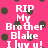 Pink background with dark brown polka dots and white pixelated text reading RIP My Brother Blake I luv u! Dance Cheer Love Live God Rulz I luv God I luv Church