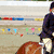 A pixelated image of a horse and rider in a riding arena with a red banner displaying partial text.