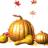 Animated sequence of pumpkins and gourds with falling autumn leaves on a white background.