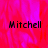 Pixelated text 'Mitchell' appears in three positions over a red and pink gradient background with a gray rectangle on the right.