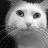 Static grayscale buddy icon featuring a pixelated cat face with large eyes and subtle mouth, rendered in low-resolution 256x256 pixels on dark background.