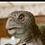 Pixelated static image of a grayish-brown animal-like figure with large eyes and rounded features against a light background, appearing to be a low-resolution digital icon.