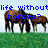 A four- shows horses on grass with blue text changing