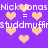 Pixelated purple background with repeating light orange hearts and white text reading "Nick Jonas = studmuffin" in two , showing animation changes between frames