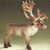 Pixelated deer with large antlers stands in profile against gradient background, light brown body and white underbelly visible.