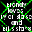 Green laser overlays white text reading "Brandy loves Tyler Blaise and Bri-sista<3" on a black background, repeated in four identical quadrants