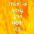 Pixelated text reads "This is why I'm HOT! <3" over a fiery orange-yellow background with visible flame-like patterns.