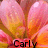 A flower with pink and orange petals, featuring three distinct text labels: Carly, Faith, and Patterson, arranged in a