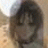 A 48x48 pixel buddy icon split into two frames showing a blurred figure on the left and text on the right, with visible animation artifacts in the text.