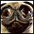 A pixelated image of a dog's face next to text reading 'Twisted Whiskers' and 'THE 2003 AOC' with a red leash graphic.