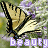A static image of a butterfly with brown and black wings against purple flowers, overlaid with repeated text.
