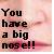 Static pixelated image with dark brown text on a pinkish gradient background reading "You have a big nose!!" in four lines.