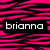 Two black rectangular text boxes with white pixelated text on a pink and black striped background, one reading 'brianna' and the other 'nicolee' with a small white square to the right.