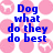 Pixelated image with pink circular background elements and blue text reading "Dog what do they do best" and "Bark Sleep Eat" with "Idk" below.