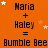 Orange background with repeated text and star animations; 'Maria + Haley = Bumble Bee' in black pixelated font, stars shift positions across frames.