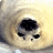 A pixelated image of a light-colored bear's face with dark eyes and nose, next to a brown outline drawing of a bear head above the text "Timothy Treadwell" in matching brown lettering.