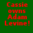 Red pixelated text on green background reads 'Cassie owns Adam Levine!' with a yellow glow effect in one view.