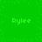 Green background with four instances of the text 'Rylee' in light green pixelated font arranged in a pattern