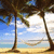 Beach scene with palm trees, hammock, and ocean under blue sky with clouds, displayed in a
