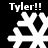 White snowflake icons with 'Tyler!!' text above and below on black background, showing two distinct animation states.