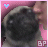 iconhell_bapity88_pugitypugy