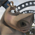 A pixelated close-up of a cartoon animal face with large eyes, a pink nose, and a dark collar, set against a blurred background with a chain link visible.