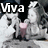 Animated icon shows two figures with a pink heart, text labels change from 'Viva' to 'Gillum', and hearts shift positions across frames.