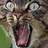 A cat with brown and black stripes, wide eyes, and an open mouth showing pink tongue and teeth in four