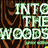 A pixelated image with repeated text "INTO THE WOODS" in white letters over a brown patterned background, with green accents and a gray rectangular overlay.