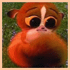 Animated sequence of a small brown primate with large eyes and white facial stripe, holding its cheeks in a grassy background.
