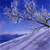 Pixelated blue-toned image showing a diagonal dark branch with sparse light-colored foliage against a gradient sky background transitioning from deep blue to pale lavender.