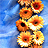 A static pixelated image of multiple orange and yellow flowers with dark centers against a blue gradient background.