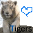Animated sequence showing a tiger image with changing blue heart icons and text variations of 'Tigers' across frames.