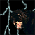 Animals icons for AIM, MSN, MySpace and Yahoo