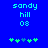 Blue background with cyan text 'sandy hill 08' and green pixelated symbols below, showing two identical frames with one symbol changing from green to blue.