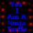 Blue pixelated text on a black background with red dot patterns, repeating 'Yes I Am A Ninja Turtle' in two vertical