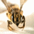 A pixelated bee head on the left, with a yellow dotted background and 'BEE Mirell' text on the right.