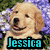 A four- of dog images with text overlays: a golden retriever, a black-and-white dog, and a beagle-like dog, each with blue text reading Jessica, Loves, Puppies!