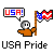 Pixel art of a figure holding a U.S. flag with a speech bubble reading USA! and USA Pride text below.