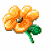 Animated sequence of orange flowers with green stems and leaves, showing varying petal arrangements and central details across frames.