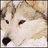 A static image shows a dog's face on the left, a running wolf in mid-stride on the right, and blue text reading 'Eight Below' with small heart symbols.