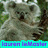 Pixelated image of a koala with muted green and brown tones, positioned against a blurred natural background, with a cyan and purple text banner at the bottom.
